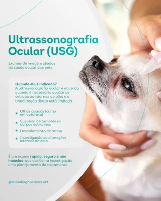 Instagram post from scandiagnosticos.vet. This post is in position 5.