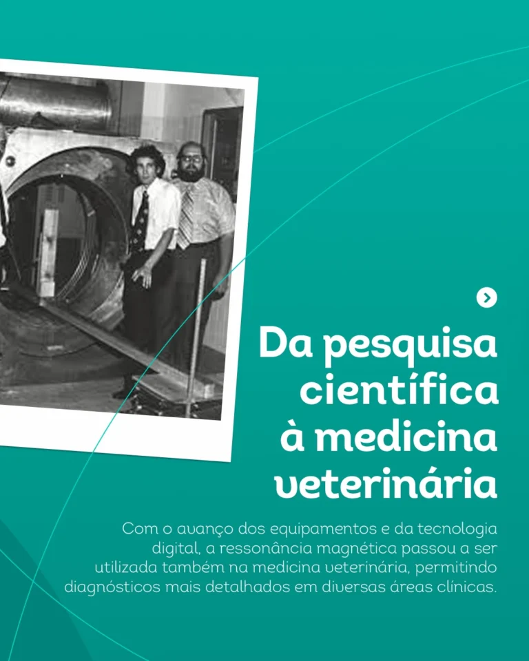 Instagram post from scandiagnosticos.vet. This post is in position 2.