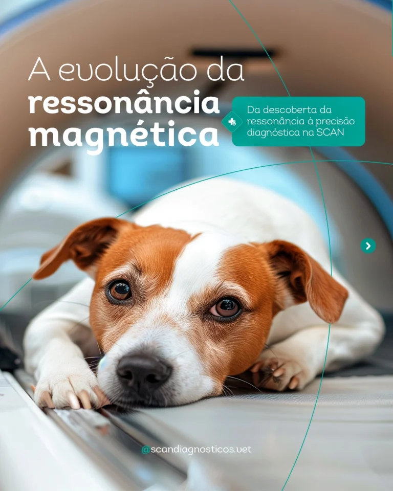 Instagram post from scandiagnosticos.vet. This post is in position 0.