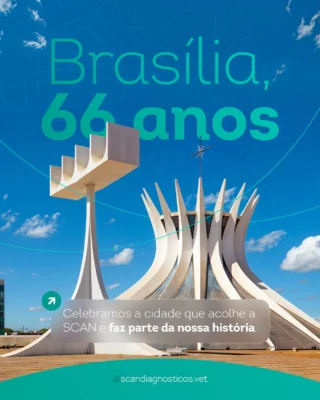 Instagram post from scandiagnosticos.vet. This post is in position 4.