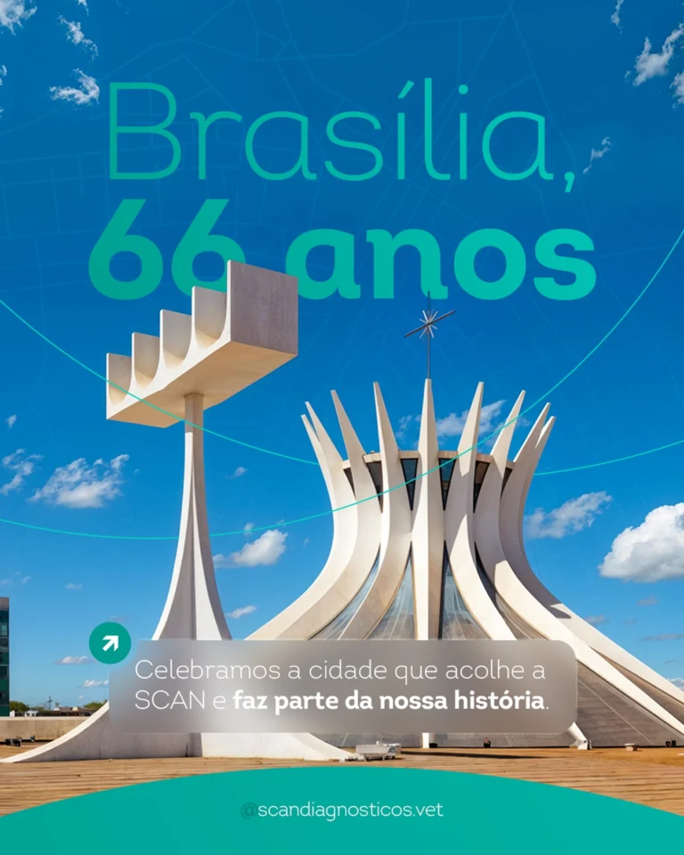 Instagram post from scandiagnosticos.vet. This post is in position 3.