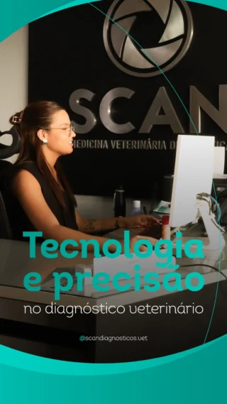 Instagram post from scandiagnosticos.vet. This post is in position 10.