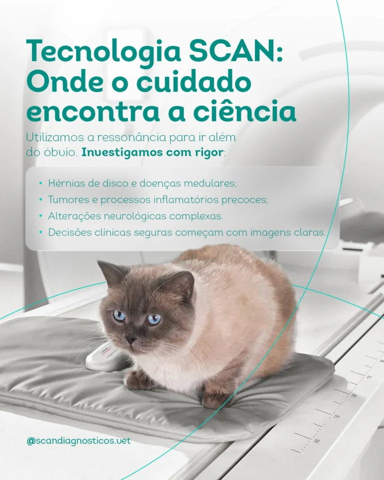 Instagram post from scandiagnosticos.vet. This post is in position 3.