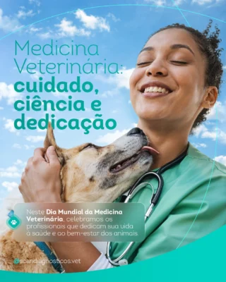 Instagram post from scandiagnosticos.vet. This post is in position 2.